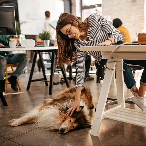 International bring your dog to work day Wishing you well