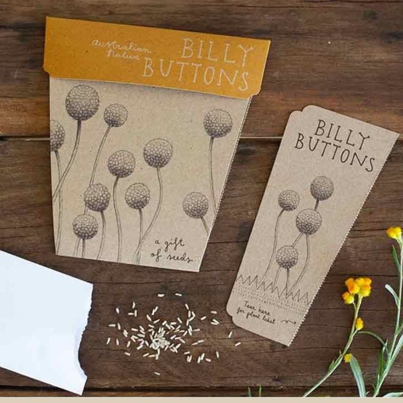 Billy Buttons seed gift set