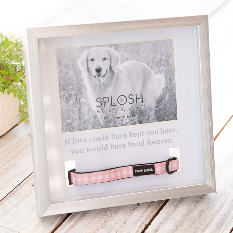 Sympathy Pet // Pet Collar Frame