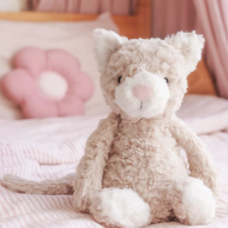 Weighted Toy Pickles the Cat