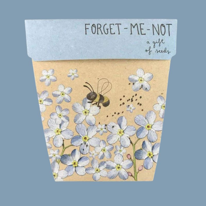 Sending Sunshine – what's inside