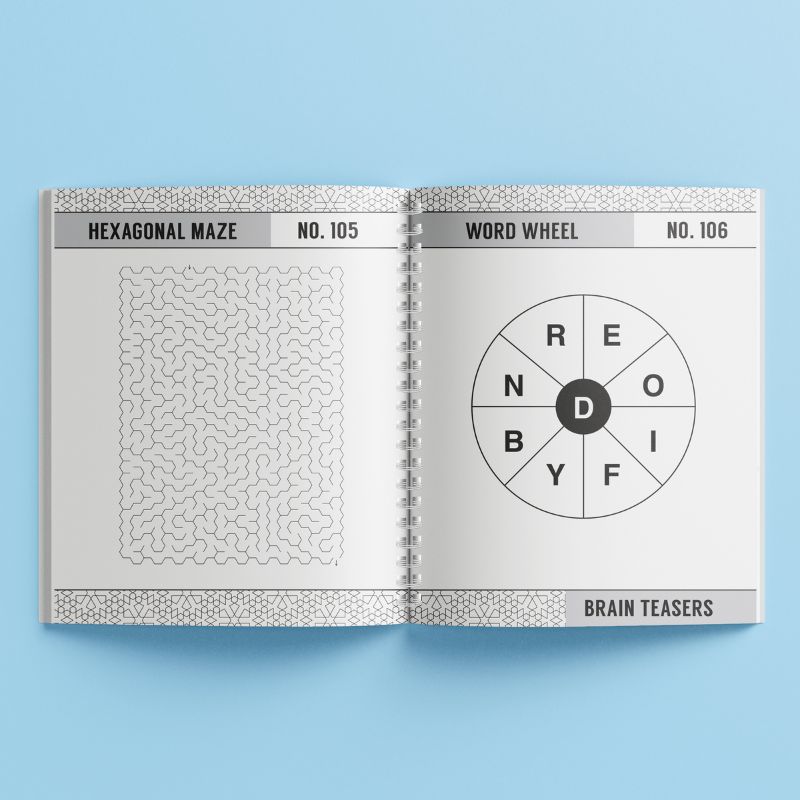 Brain Teasers puzzle book with blue geometric cover featuring 250 brain teaser puzzles