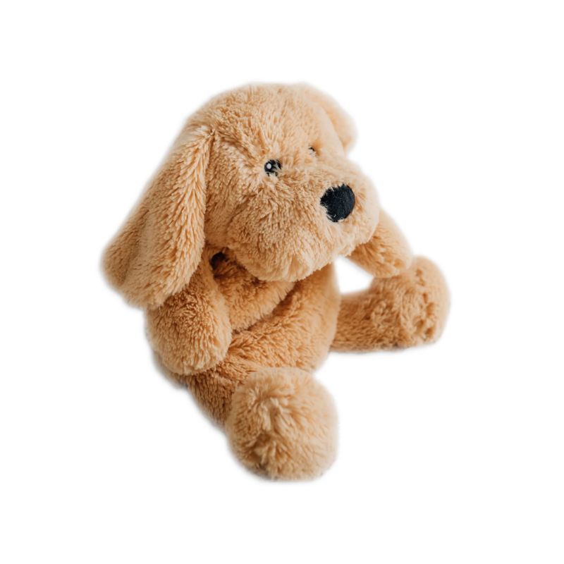 Charlie the weighted puppy kids toy
