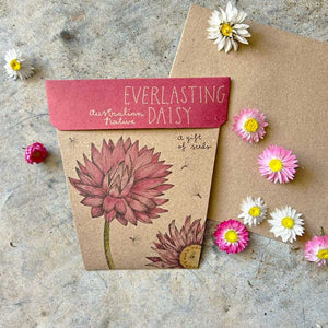 Everlasting Daisy - A gift of seeds | Sow n sow
