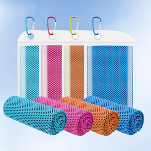 1 x Ice towel
