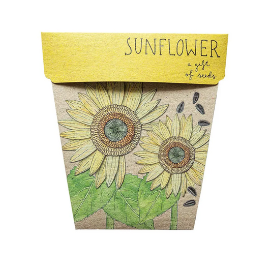 Sow n sow sunflower seeds - A gift of seeds