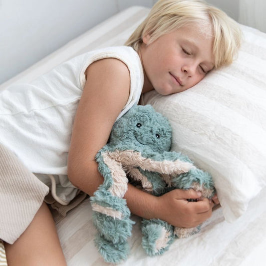 Weighted soft toy | Ollie the Octopus