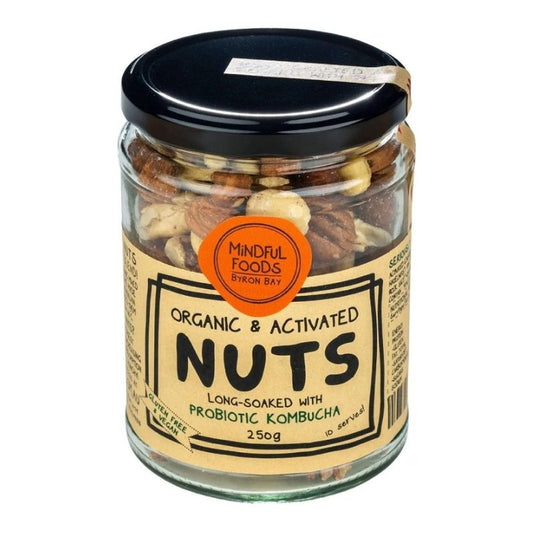 Organic Mixed Nuts | Long Soaked with probiotic Kombucha | Wishing You Well Gifts
