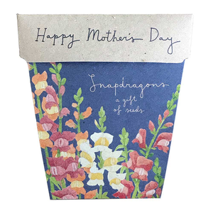 Mother's Day snapdragons