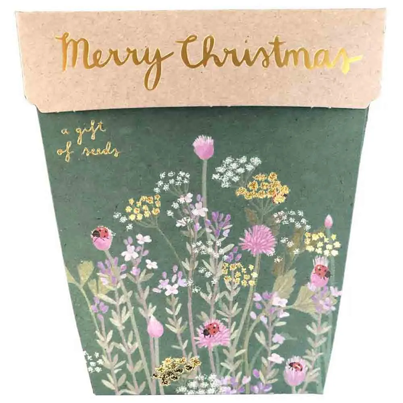 Merry Christmas gift of seeds | Sow n Sow | gold foil