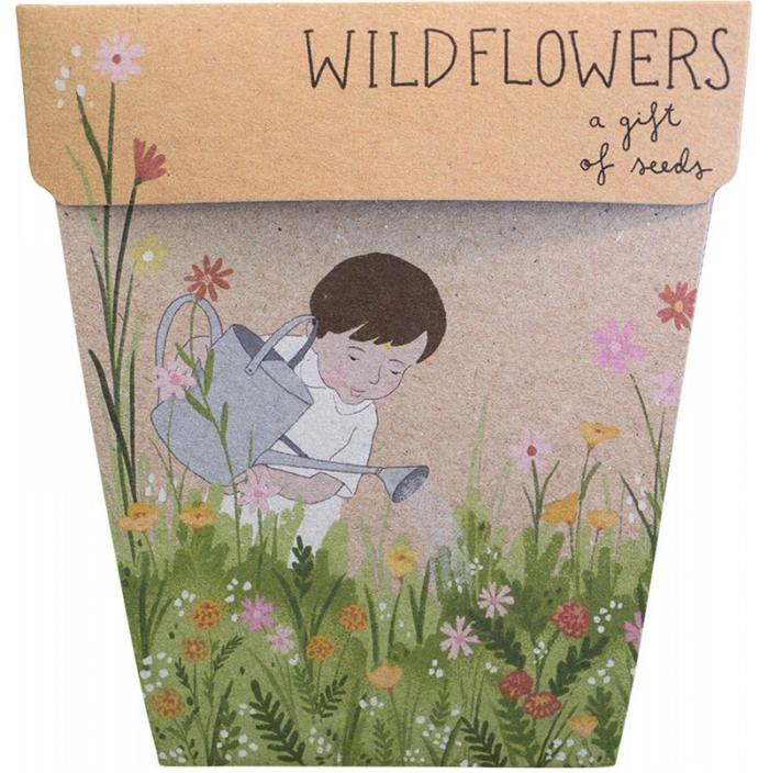Wildflowers seed gift set